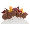 Suçons en chocolat pour Halloween et automne