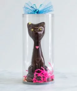 Chocolat pour Pâques en forme de chat fait dans l'est de Montréal dans Tétreaultville (Mercier-Est).