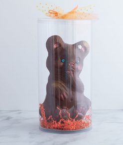 Chocolat pour Pâques en forme d'ours fait dans l'est de Montréal dans Tétreaultville (Mercier-Est).